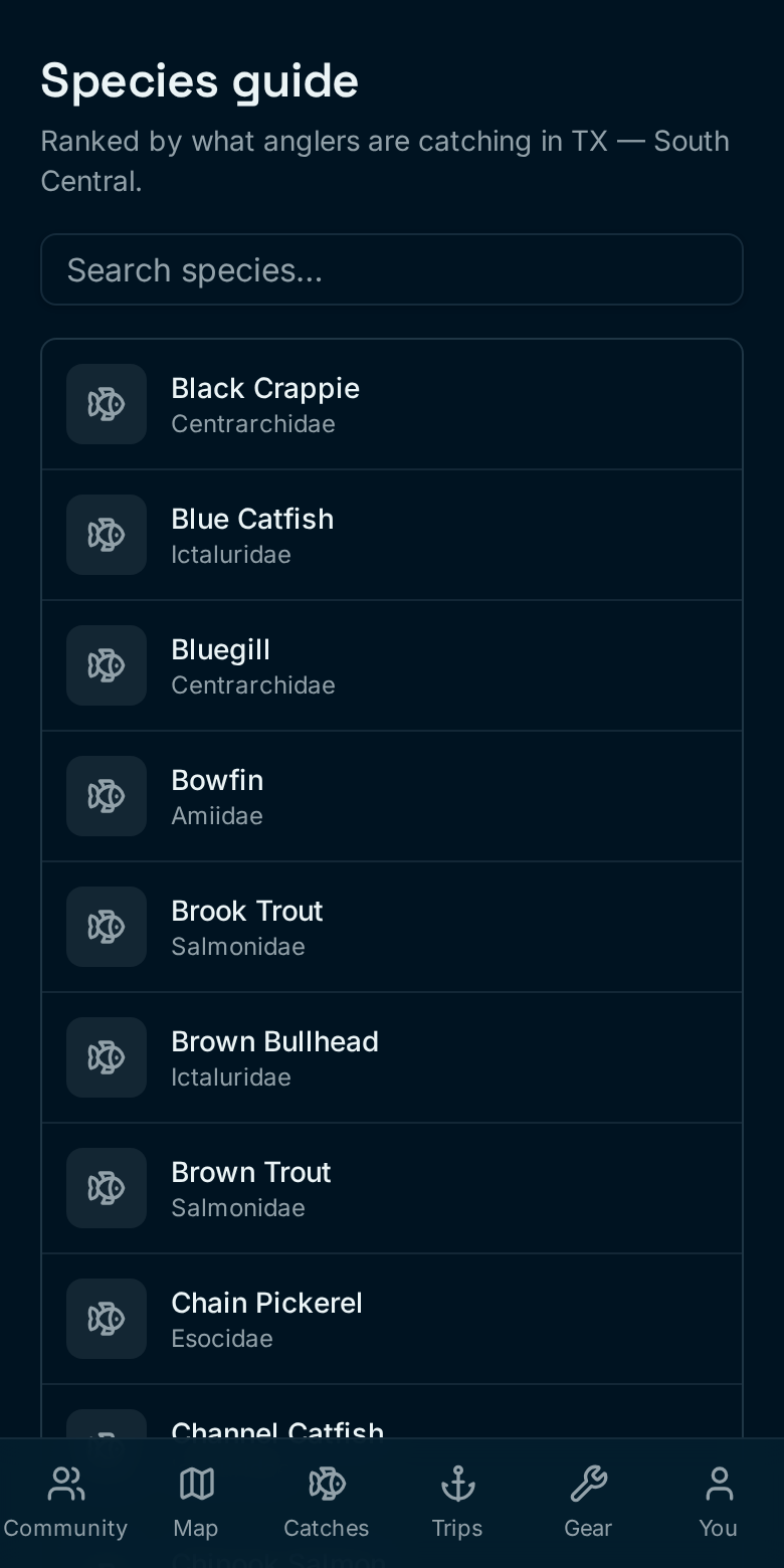 Patterns from thousands of real catches